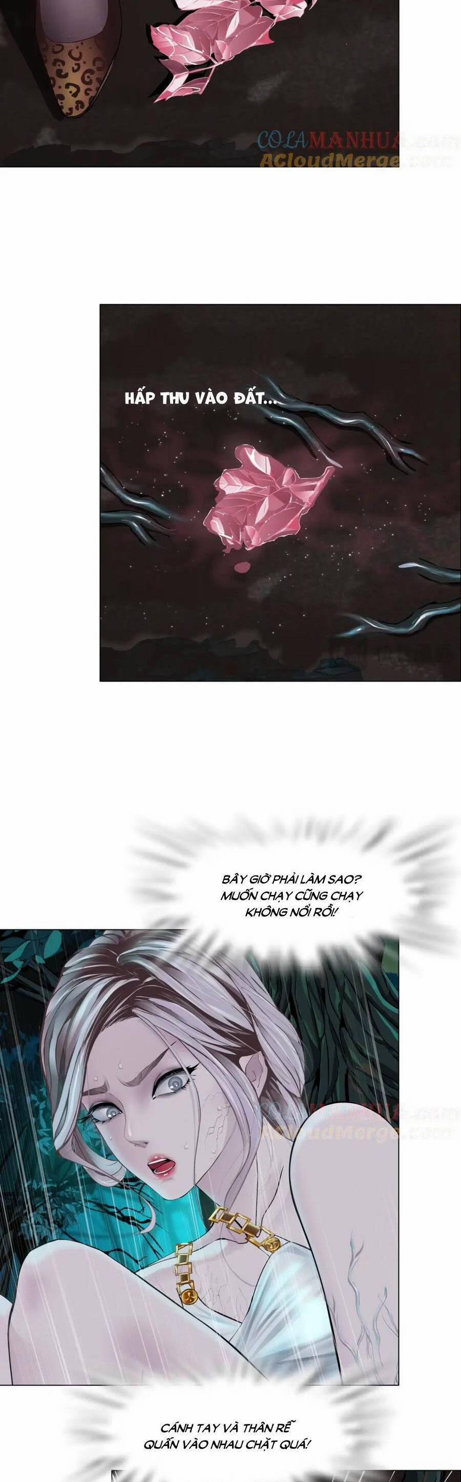 Đằng Nữ 263 trang 11