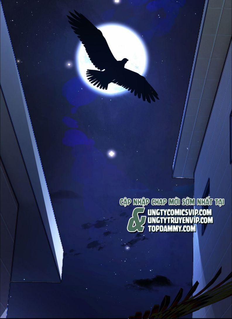 Đánh Cắp Thần Minh Của Tôi 2 trang 41