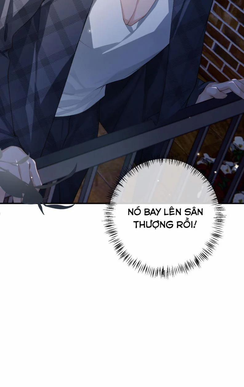 Đánh Cắp Thần Minh Của Tôi 8 trang 2