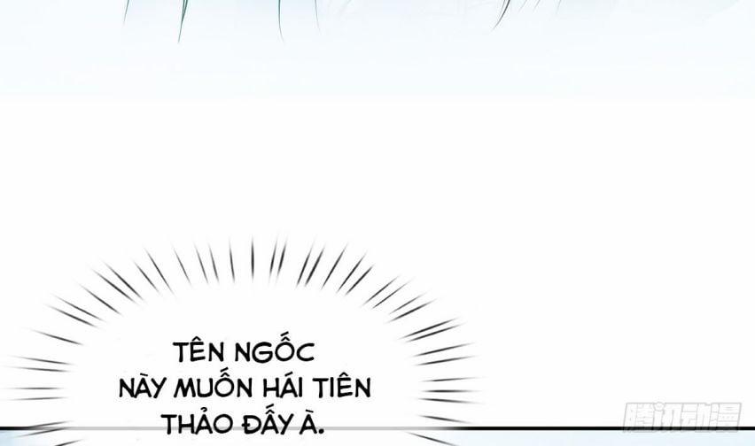 Đánh Chết Cũng Không Làm Sư Tôn 16 trang 17
