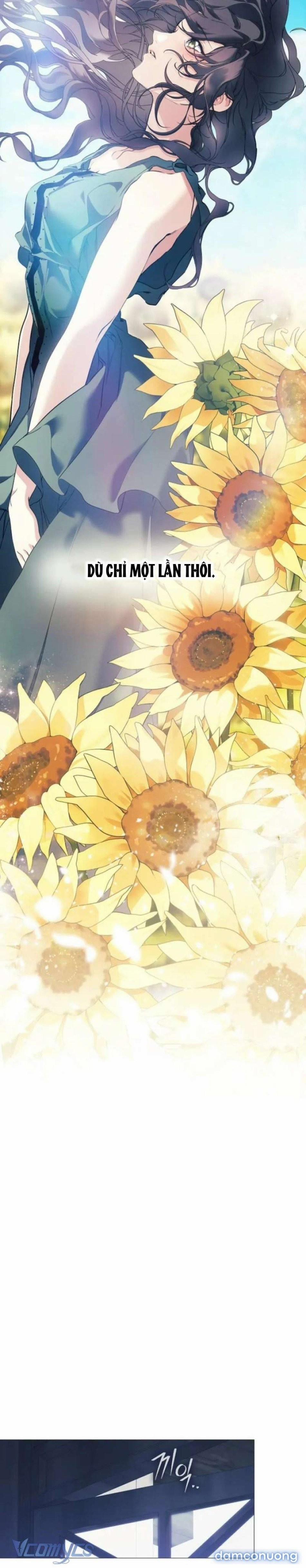 Dành Cho Các Nữ Thần : Dành Cho Daphne 2 trang 13