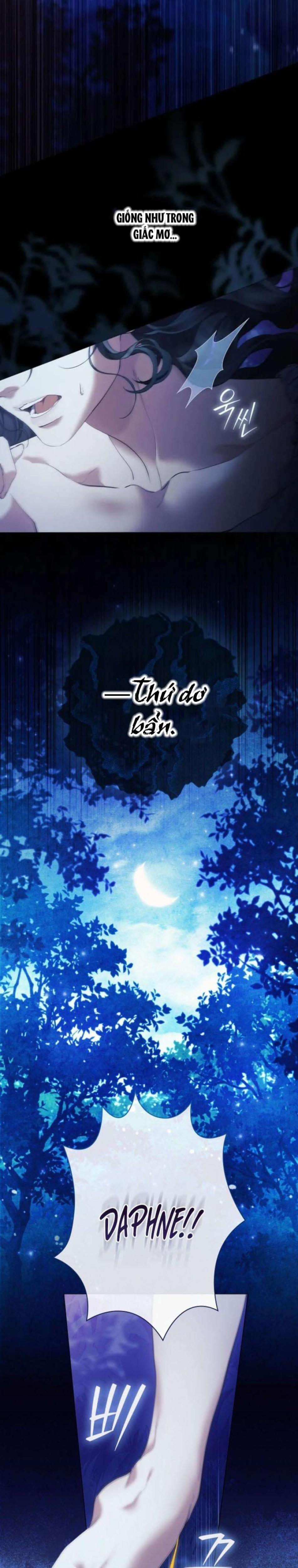Dành Cho Các Nữ Thần : Dành Cho Daphne 7 trang 11