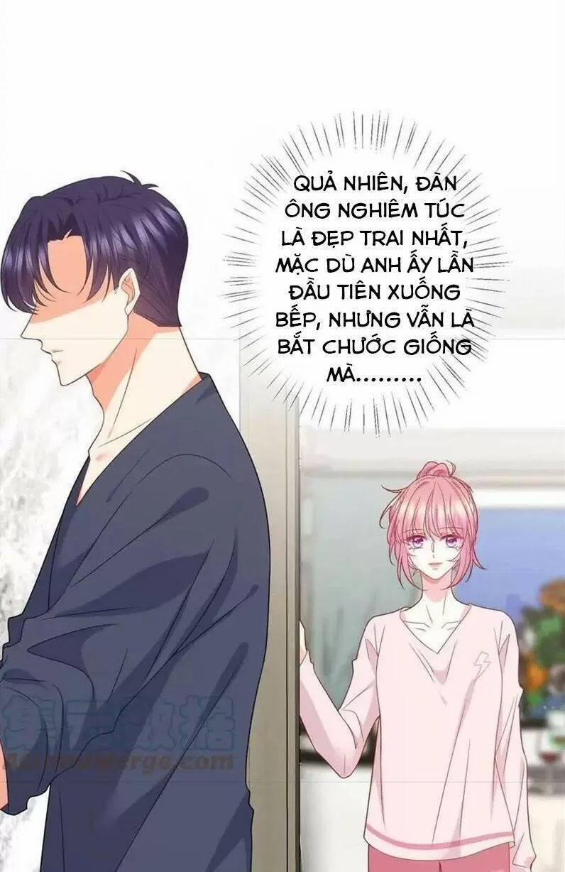Danh Môn Chí Ái 440 trang 0