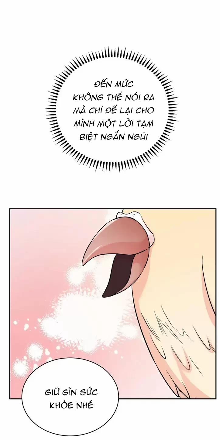 Đảo Ngược Tình Thế 24 trang 46