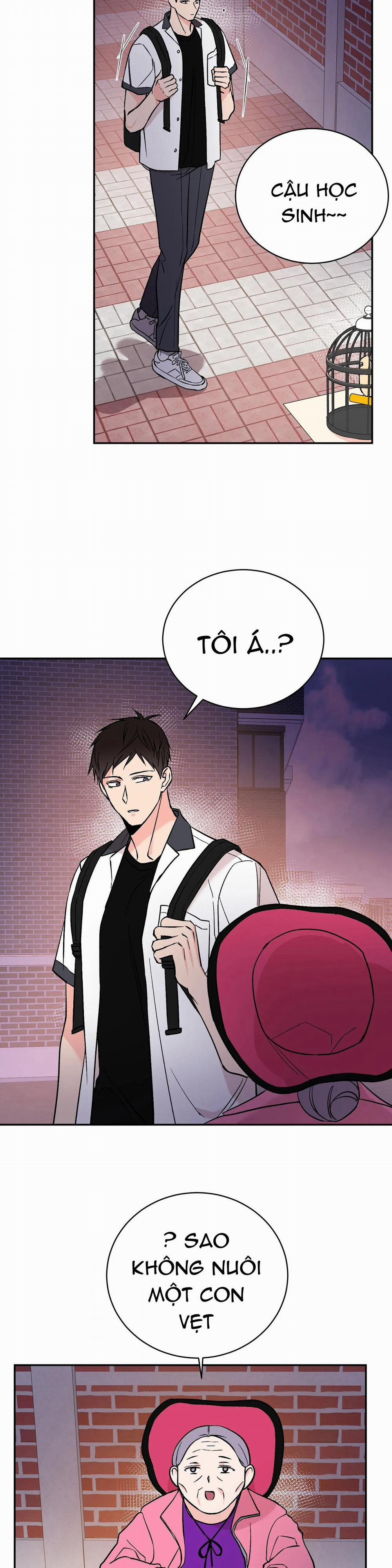 Đảo Ngược 14 trang 15