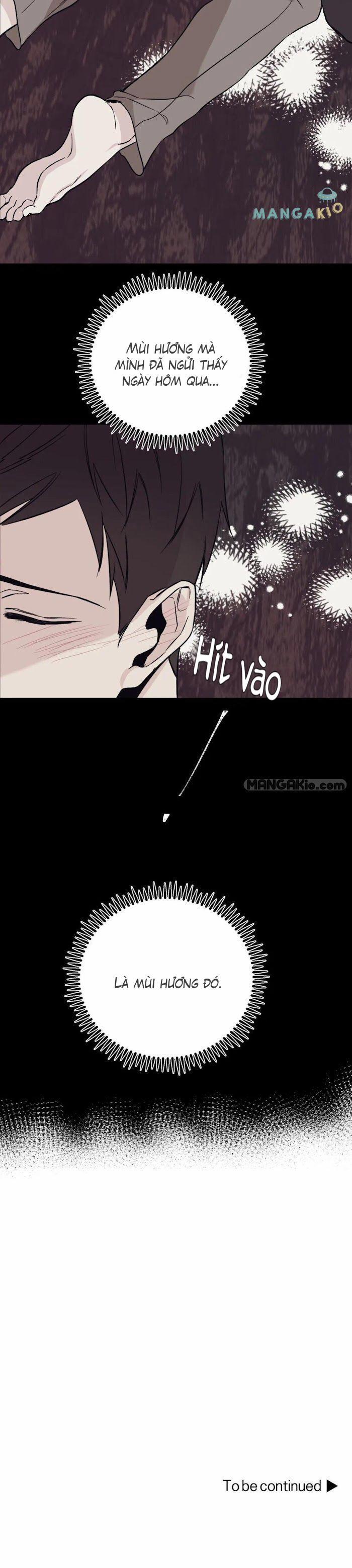 Đảo Ngược 6 trang 31