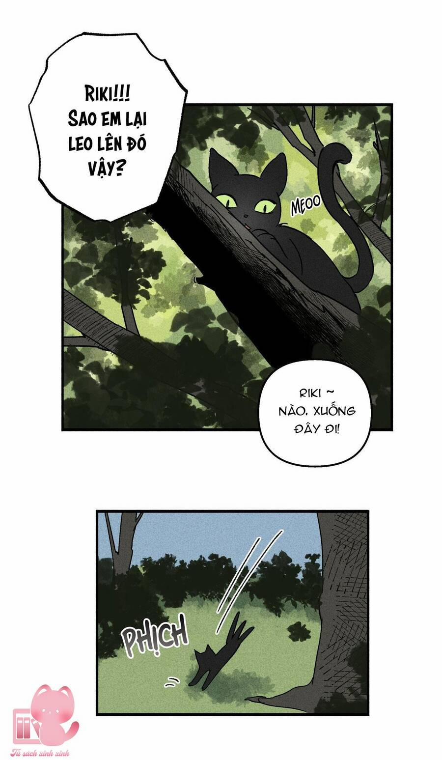 Đảo Phù Thủy 11 trang 8