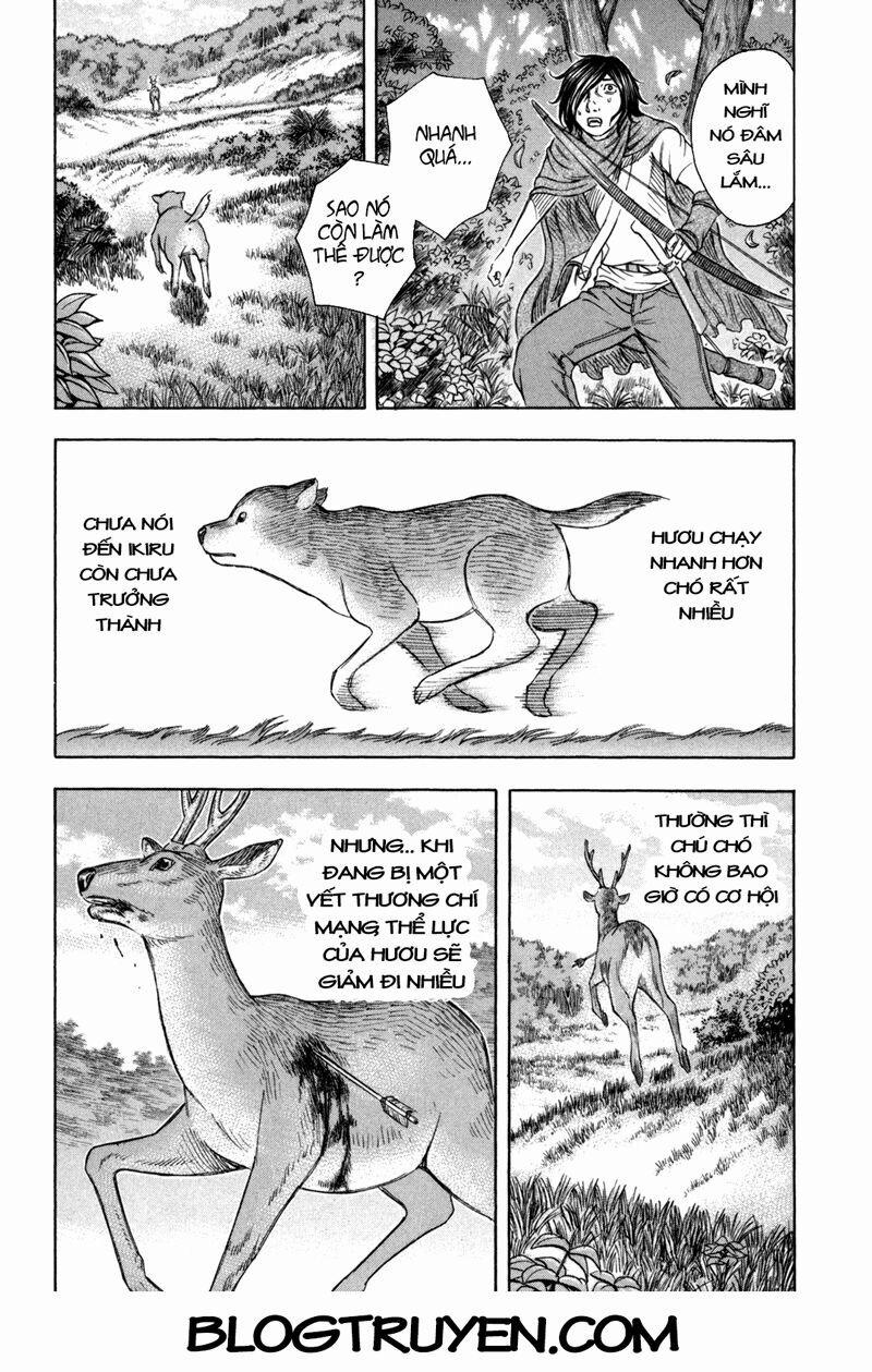 Đảo Tự Sát 29 trang 17