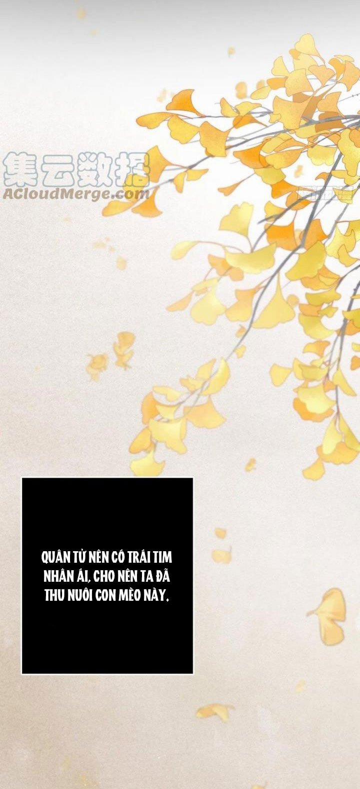 Dập Hoa Lục 46 trang 29
