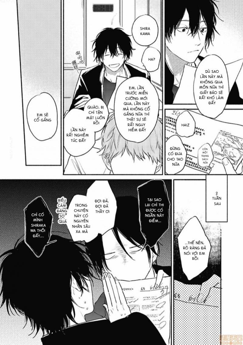 Đặt Cược Vào Chim Oanh Mùa Xuân 2 trang 15