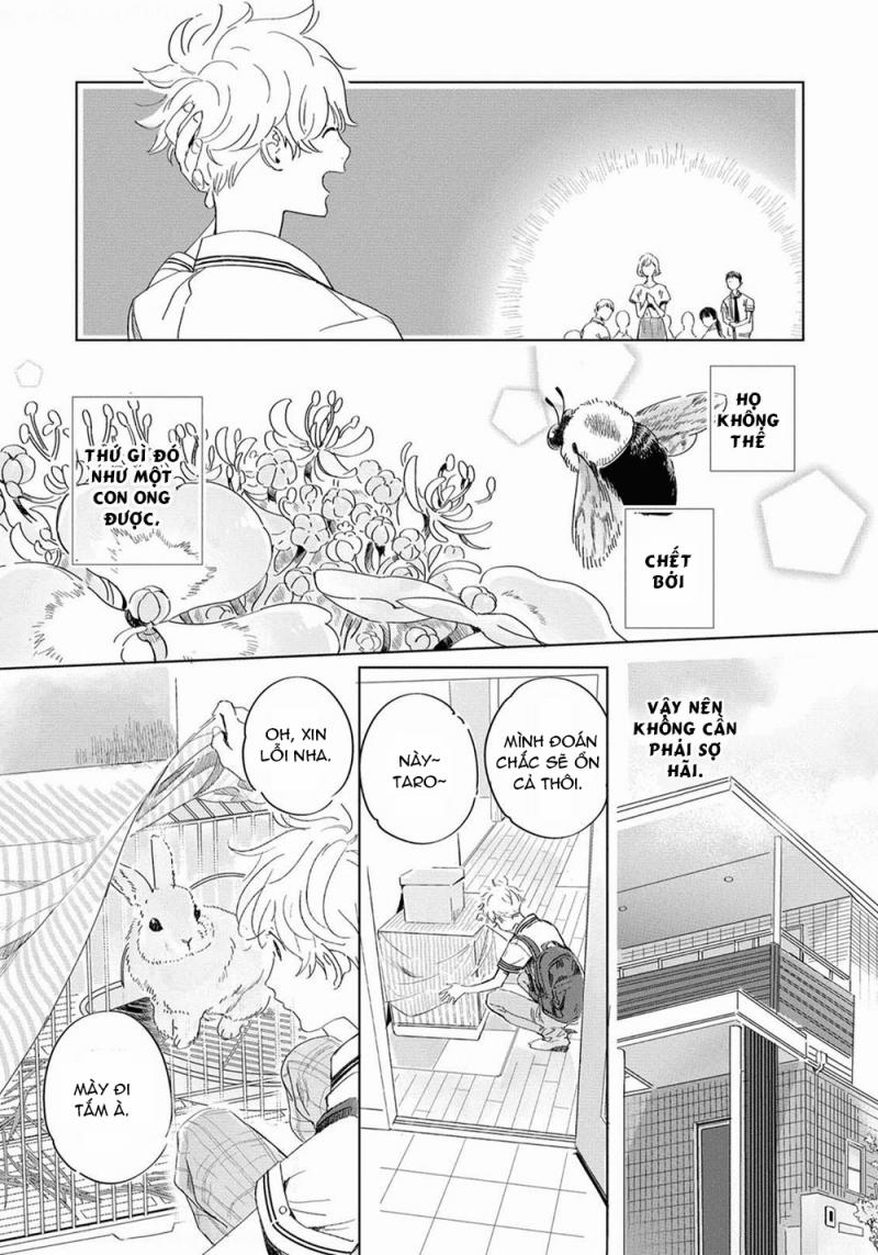 Đất Nước Của Những Chú Sư Tử 1 trang 5