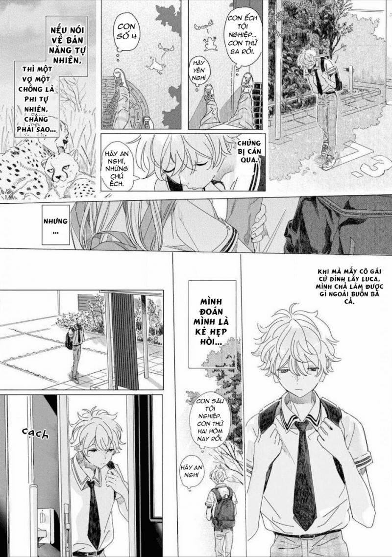 Đất Nước Của Những Chú Sư Tử 3 trang 12