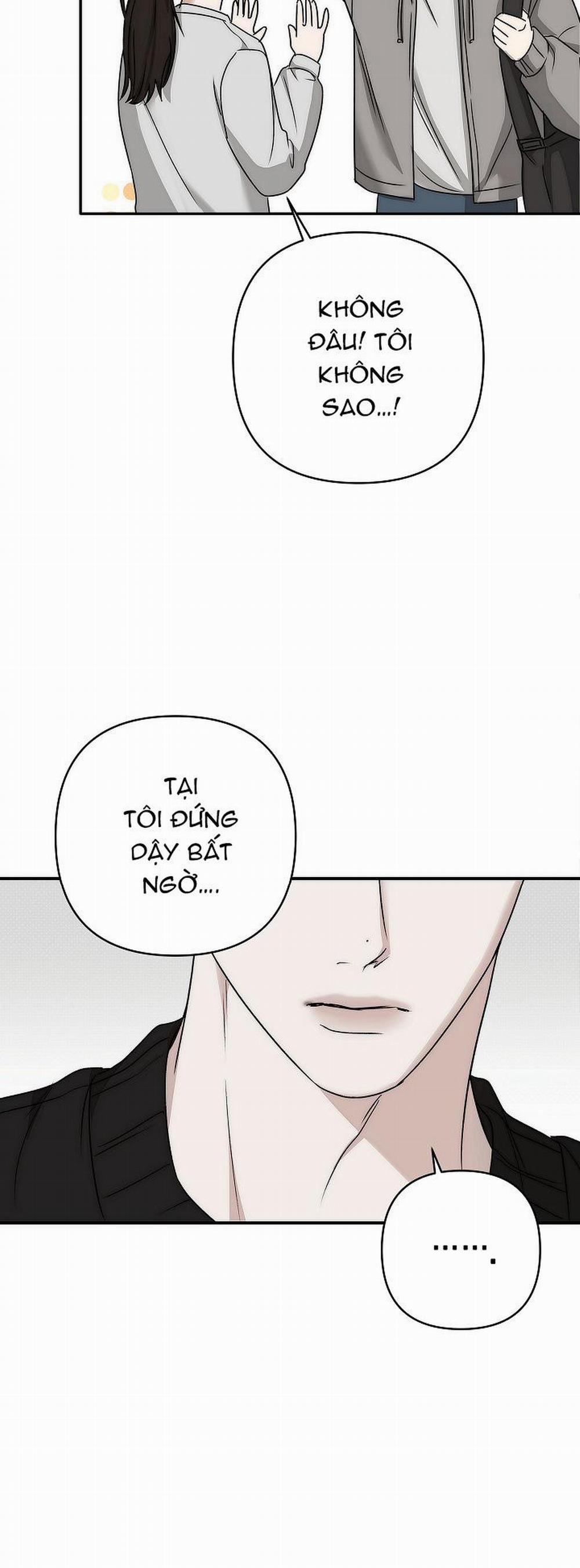 Dấu ấn 12 trang 17