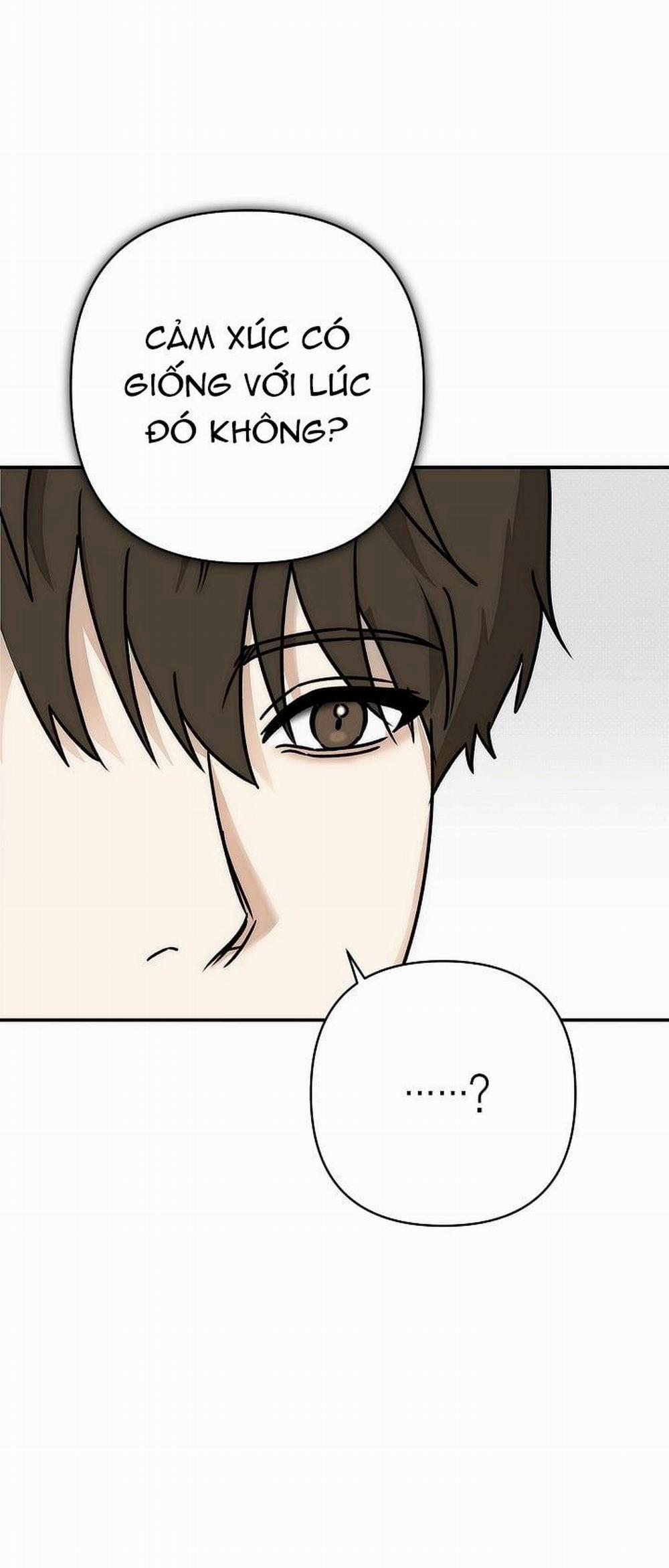 Dấu ấn 8 trang 12