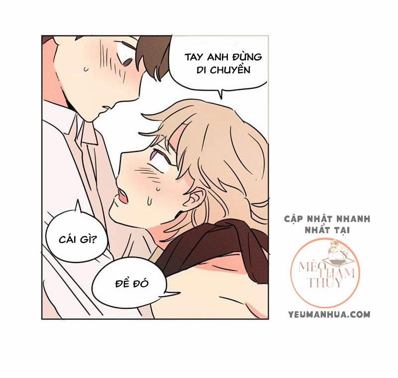 Dấu Chấm Cho Cả Ba 10 trang 40