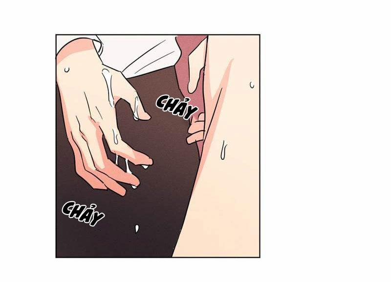 Dấu Chấm Cho Cả Ba 10 trang 47