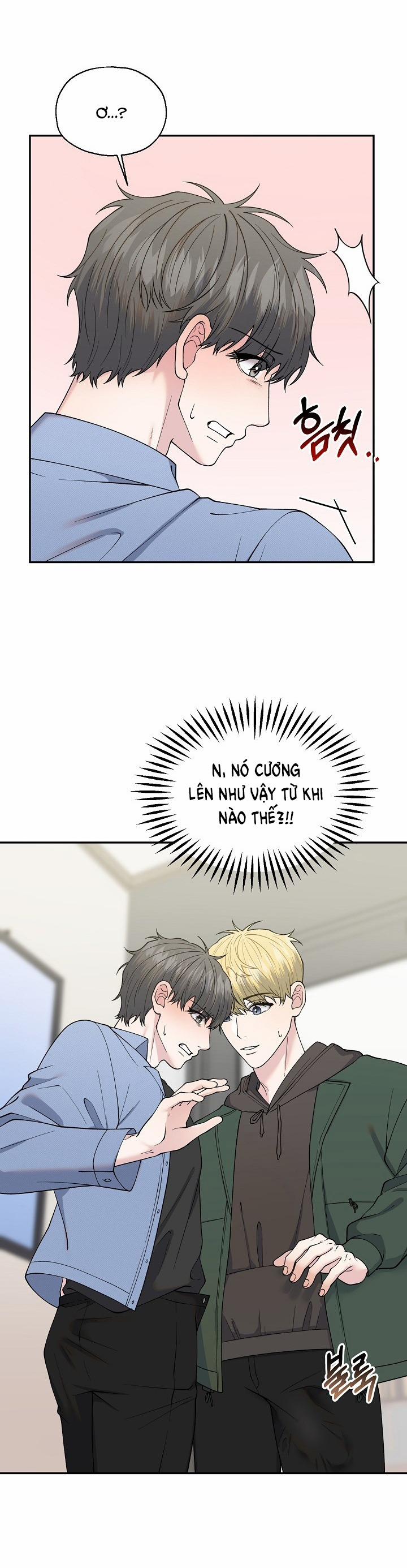 Đâu Phải Như Thế Này 5.1 trang 5