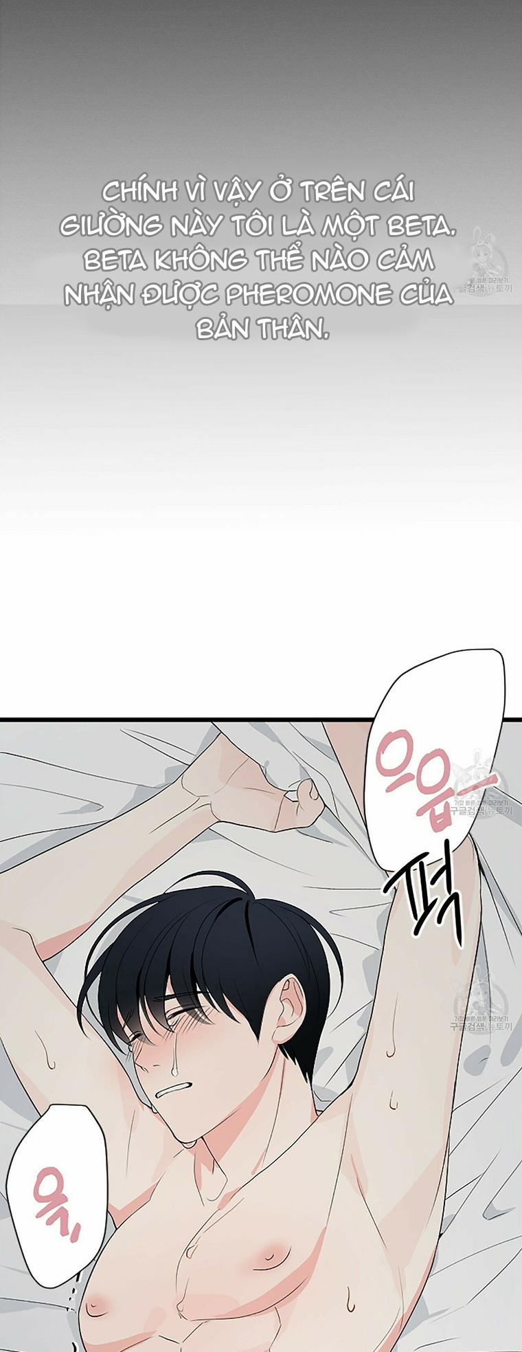 Dấu Vết Không Mùi 0 trang 7