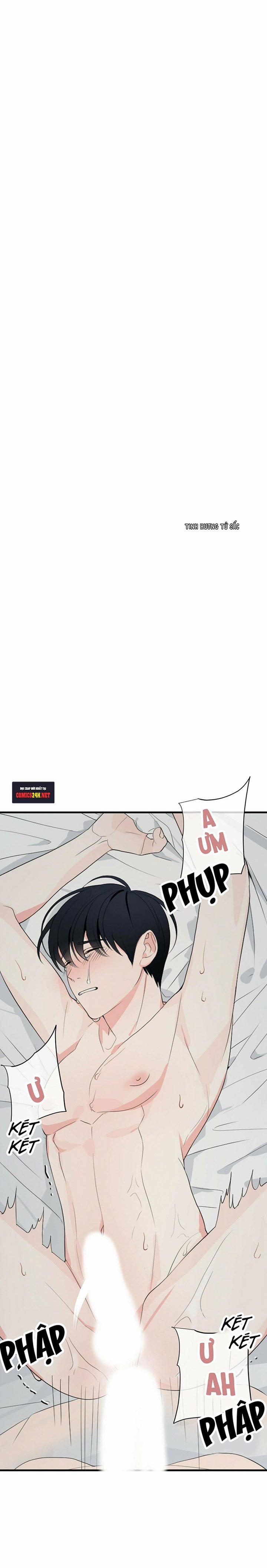 Dấu Vết Không Mùi 18 trang 7