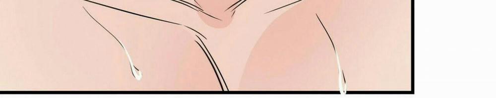 Dấu Vết Không Mùi 29 trang 38