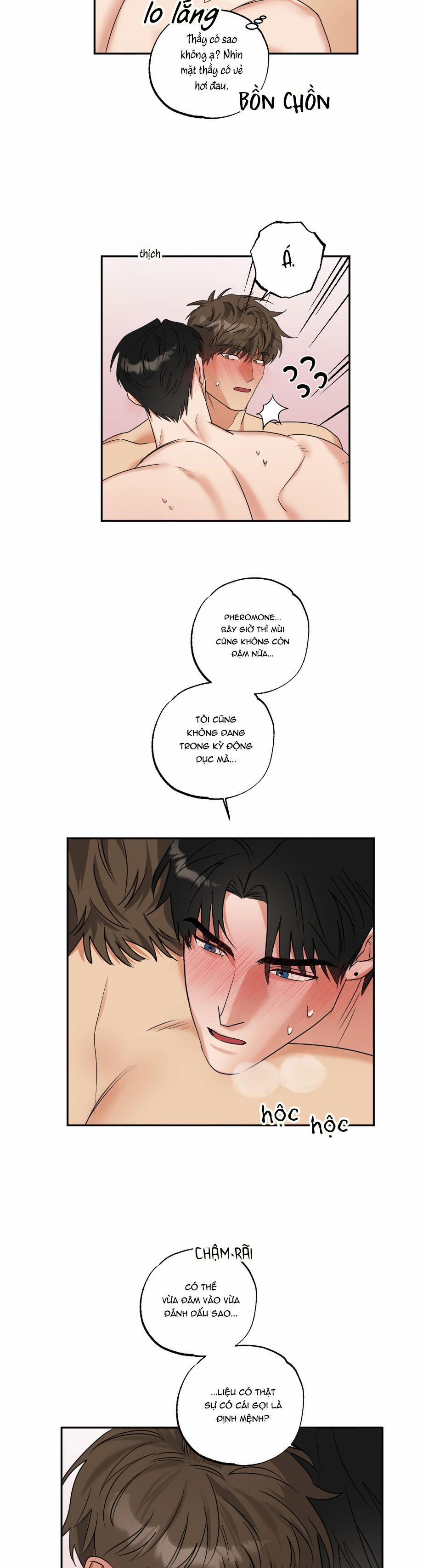 Dạy Chịch 24 trang 17