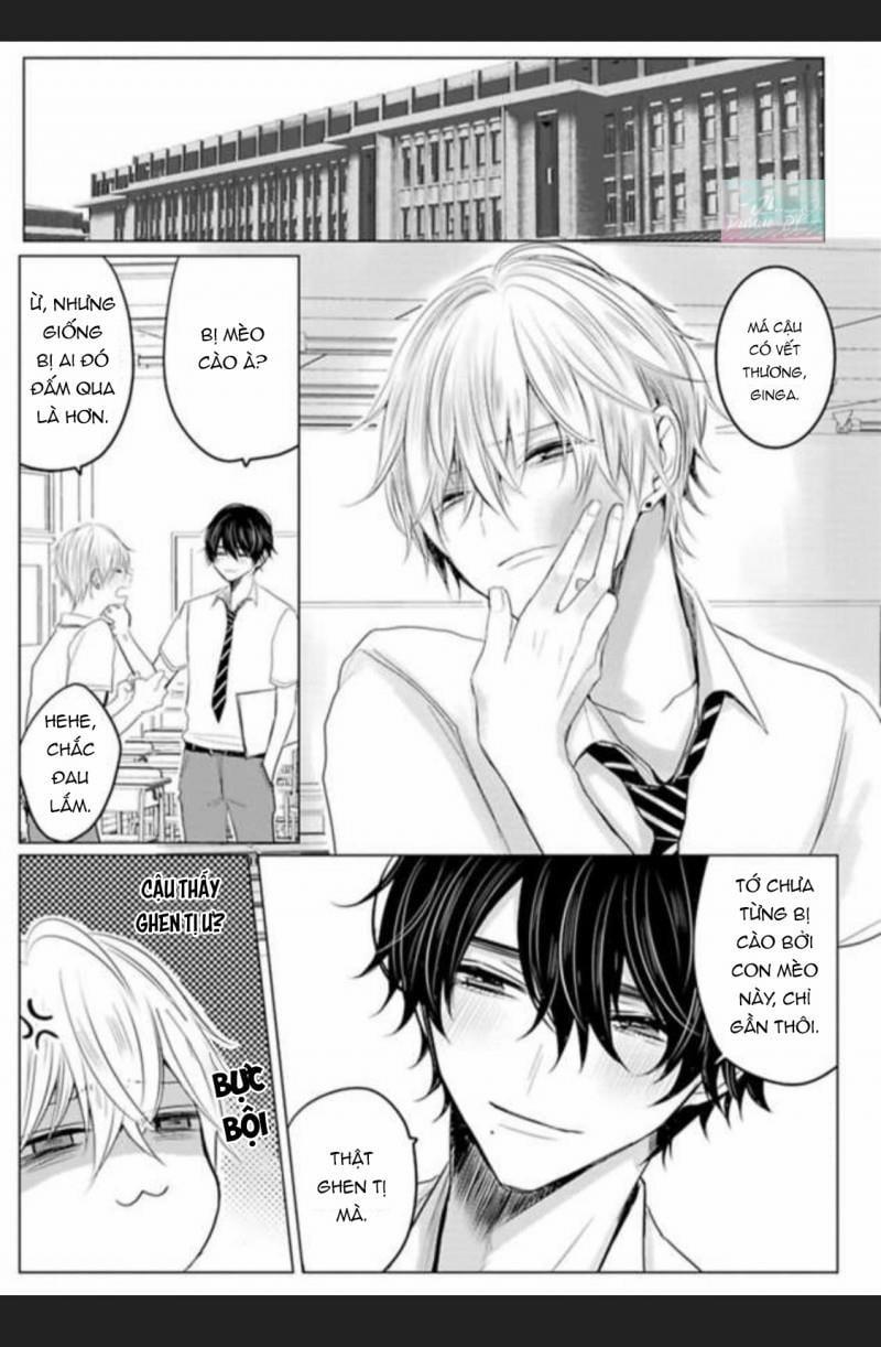 Đây Không Thể Nào Là Định Mệnh Được 4 trang 4