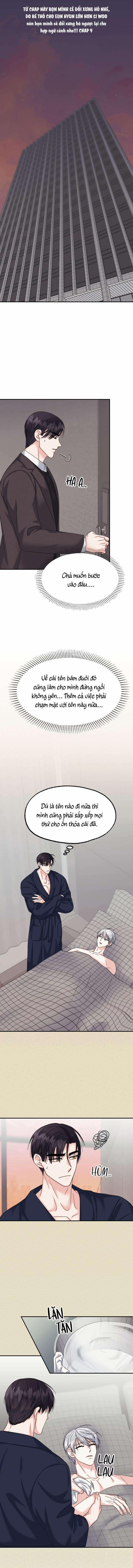 Đây Là Chú Thỏ Mà Bạn (Không) Đã Đặt Hàng 11 trang 0
