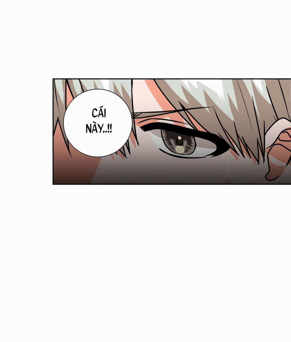 ĐÂY LÀ ĐỊNH MỆNH NHƯ TRONG LỜI ĐỒN SAO!? 4 trang 2