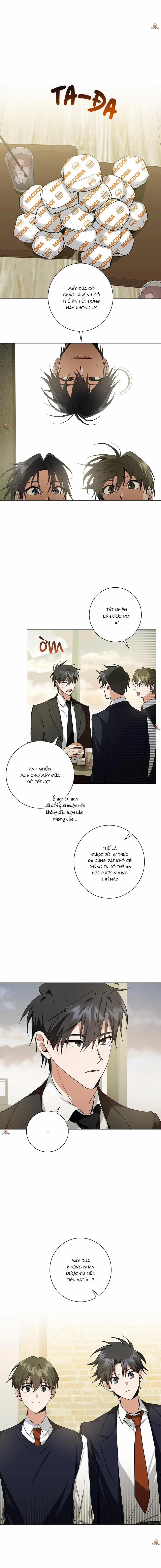 Daze 15 trang 0