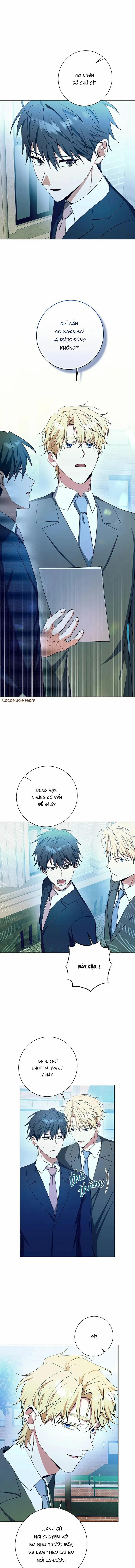 Daze 50 trang 0