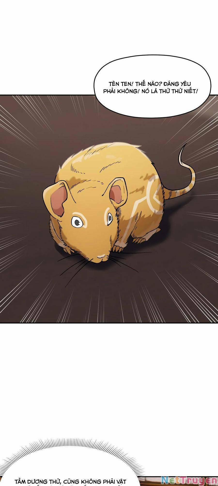 Đế Quân Thật Sự Rất Được Săn Đón 32 trang 44