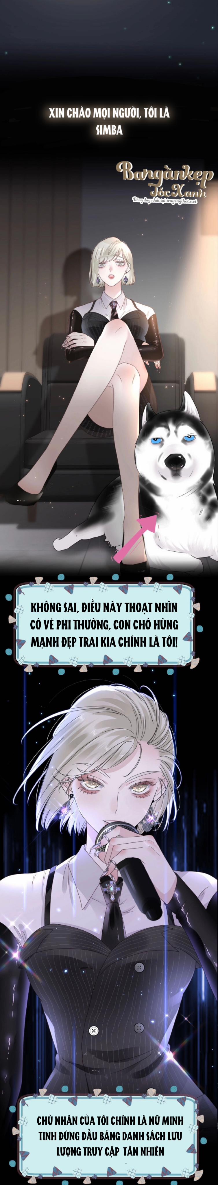 Đêm Ái Mộ 1 trang 1