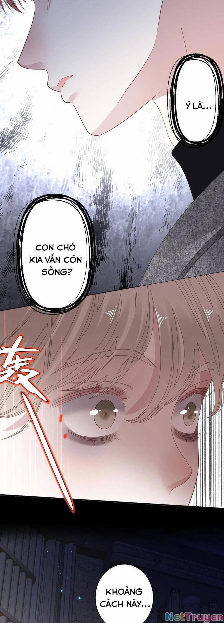 Đêm Ái Muội Cùng Ma Cà Rồng 14 trang 26