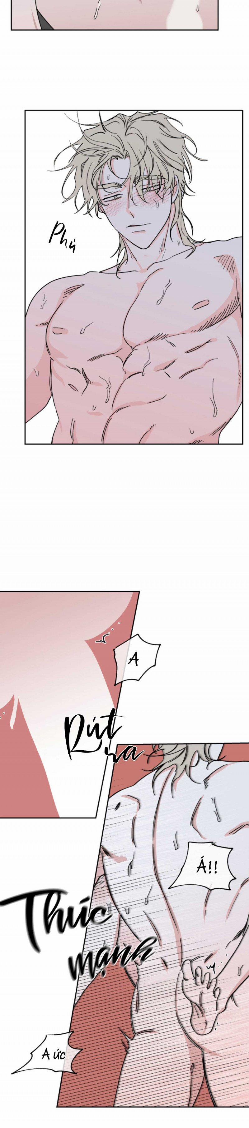 Đêm Bên Bờ Biển 13 trang 5