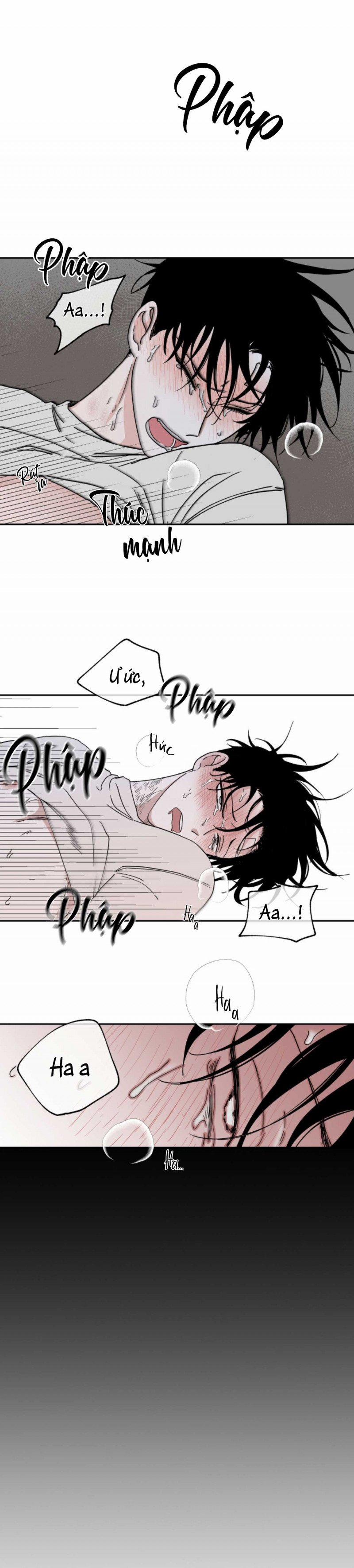 Đêm Bên Bờ Biển 13 trang 6