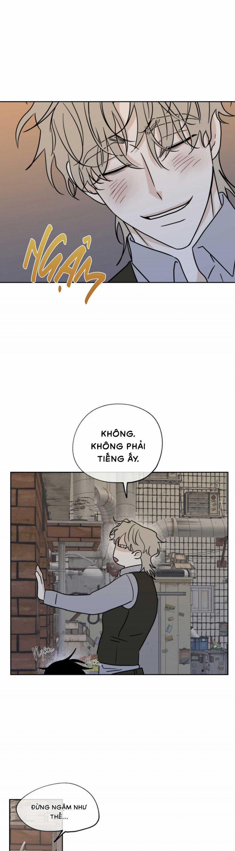 Đêm Bên Bờ Biển 21 trang 11