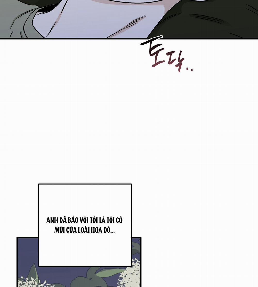 Đêm Bên Bờ Biển 67.1 trang 28