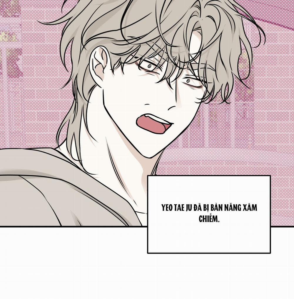 Đêm Bên Bờ Biển 80.2 trang 12