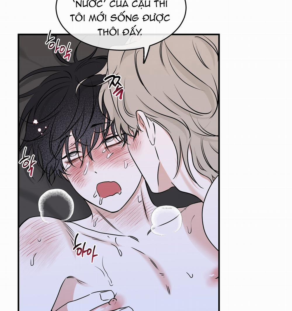 Đêm Bên Bờ Biển 82.2 trang 47