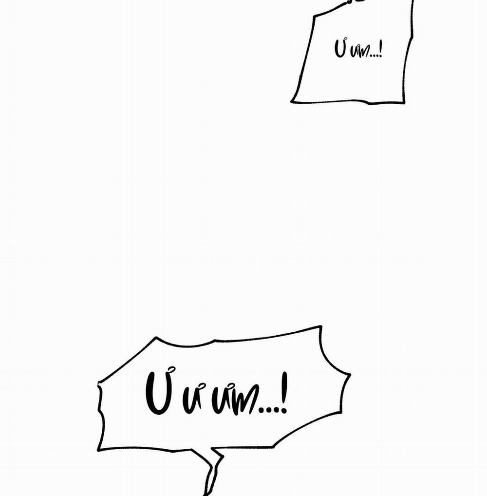 Đêm Bên Bờ Biển 84.1 trang 11