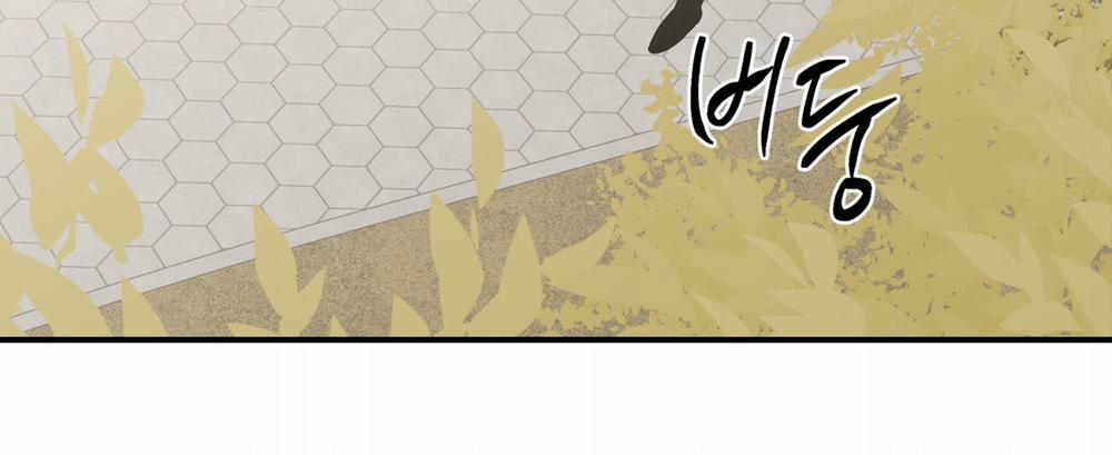 Đêm Bên Bờ Biển 87.2 trang 62