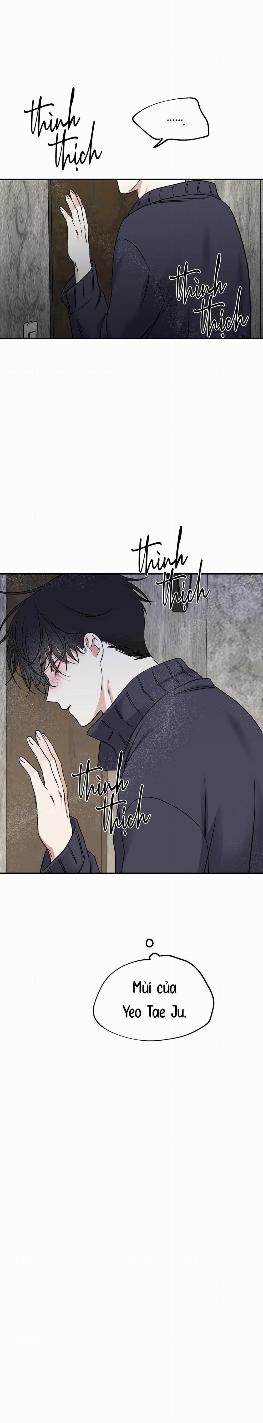 Đêm Bên Bờ Biển 91 trang 21