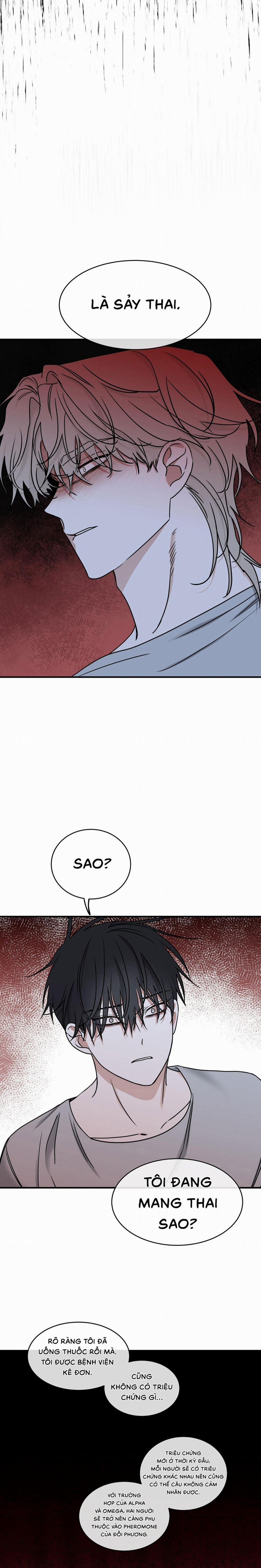 Đêm Bên Bờ Biển 96 trang 14