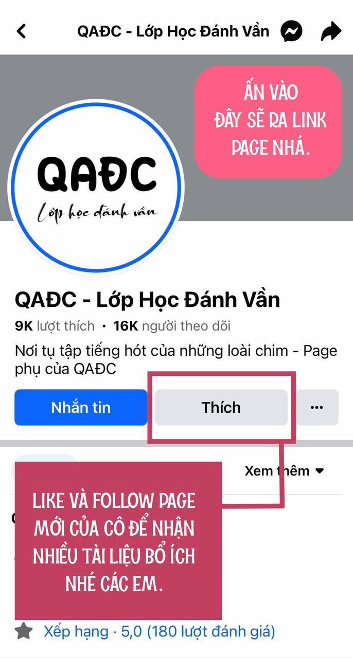 Đêm Bên Bờ Biển 97 trang 0
