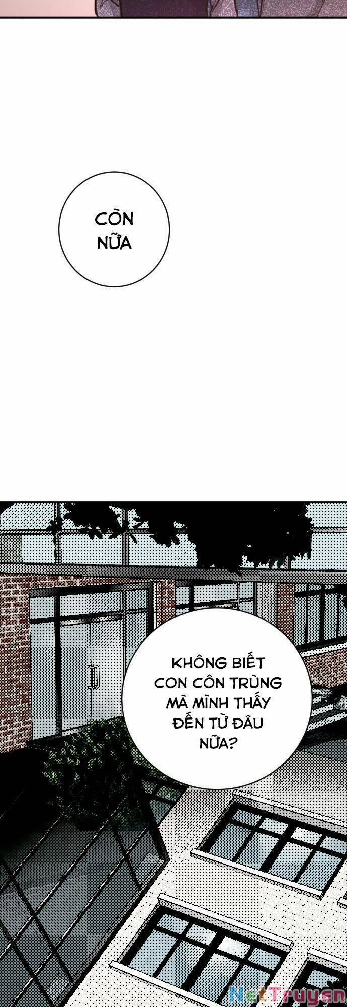 Đêm Của Bóng Tối 12 trang 19