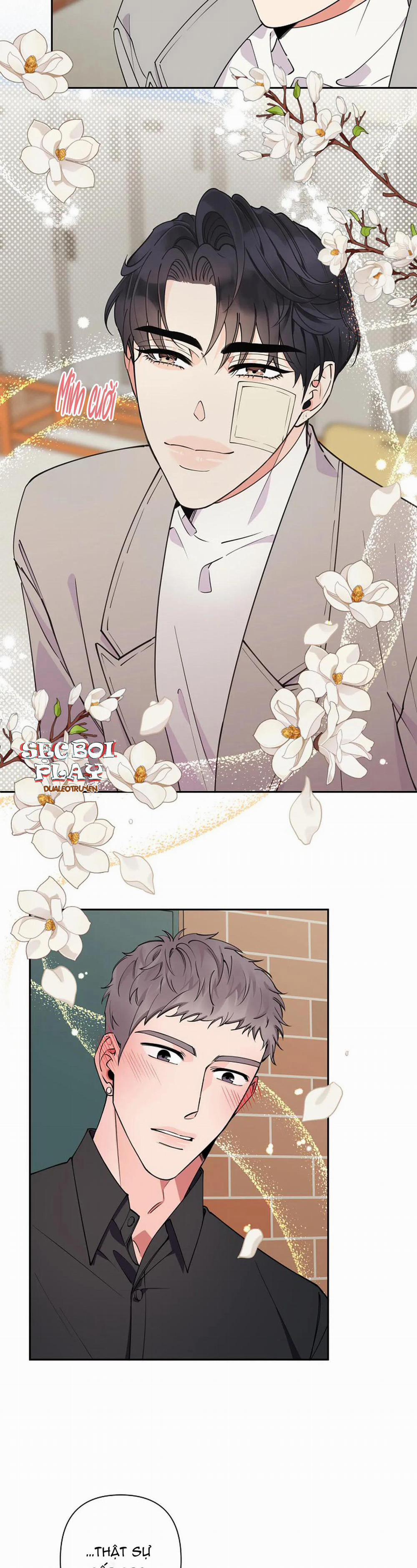 Đêm Dịu Dàng 12 trang 13