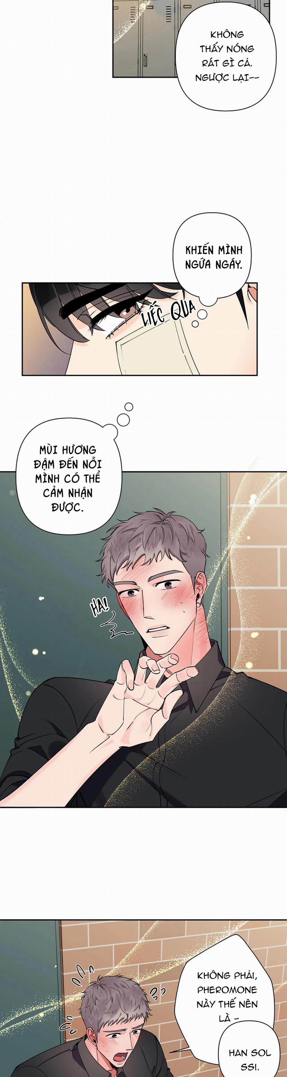 Đêm Dịu Dàng 12 trang 15