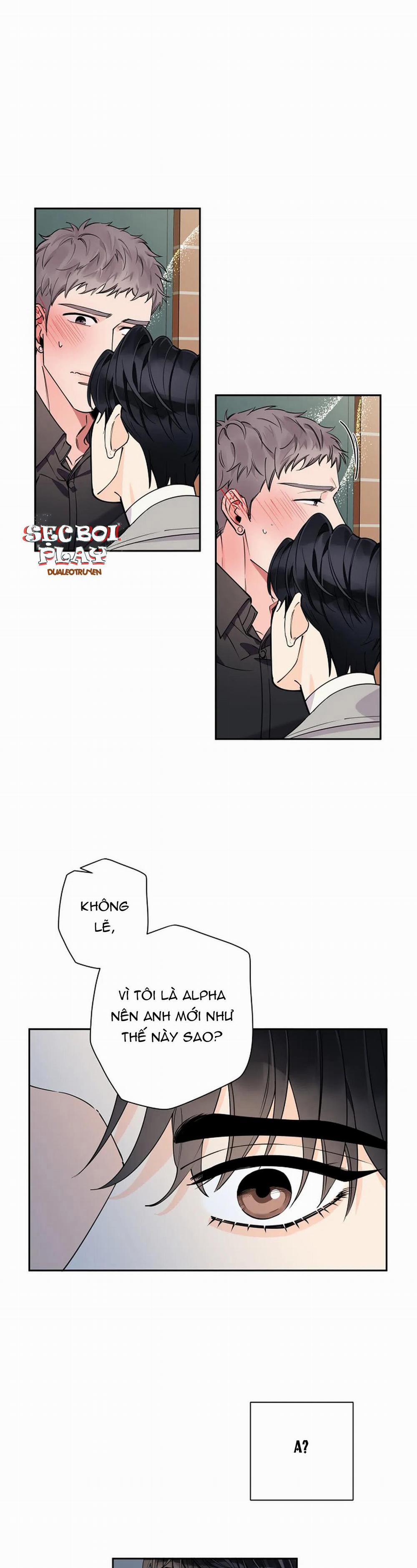 Đêm Dịu Dàng 12 trang 17