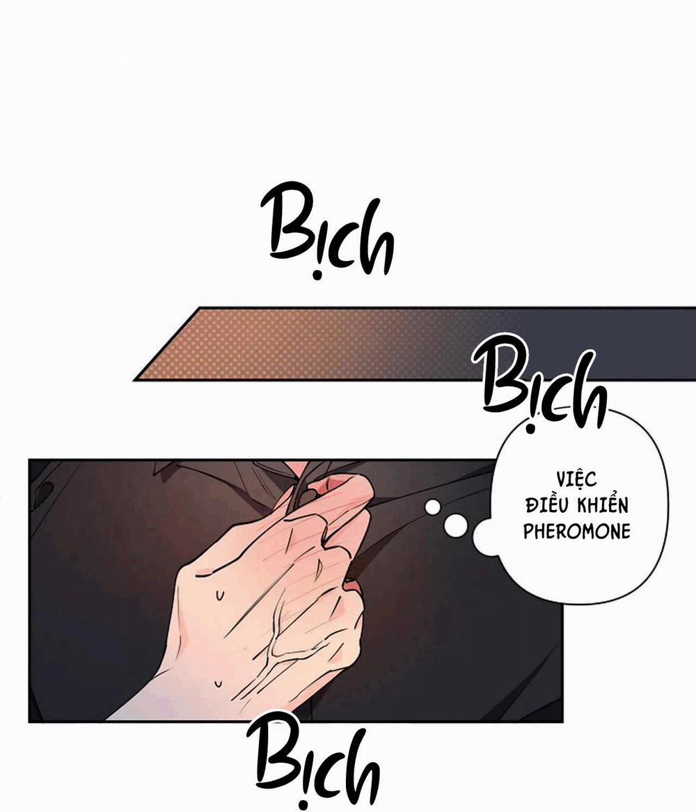 Đêm Dịu Dàng 13 trang 20