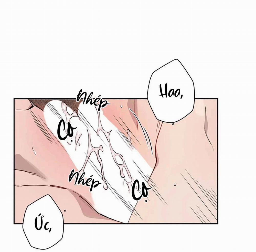 Đêm Dịu Dàng 13 trang 36